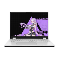 七彩虹 隐星P16Pro 酷睿Ultra7 RTX5060 300Hz 16G+1TB 游戏本