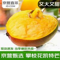 庾丰 新鲜芒果净果9斤 单果200g+