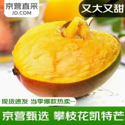 庾丰 新鲜芒果净果9斤 单果200g+