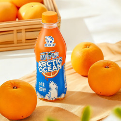北冰洋 桔汁汽水300ml*12瓶