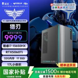 雷神 黑武士·猎刃 国家补贴游戏设计办公商用台式机电脑电竞主机(i7-13650HX 32GD5 RTX5060Ti 1TSSD）