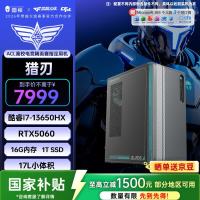 雷神 黑武士·猎刃 游戏设计办公商用17L台式电脑电竞主机(i7-13650HX 16GD5 RTX5060 1TSSD）