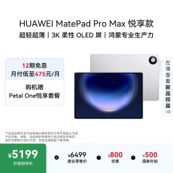 华为 MatePad Pro Max 13.2英寸 3K OLED屏 12GB+256GB 皓月银 平板电脑