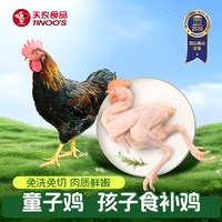 移动端：天农 童子鸡整只新鲜鸡肉清蒸生炒小鸡炖蘑菇广东正宗清远鸡小公鸡