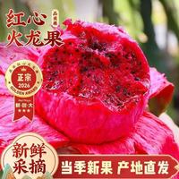惠食一族 金都一号火龙果 带箱 5 斤 200-300g