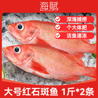 海赋 进口 大红石斑鱼净重500-600/g*2条 鲜活捕捞船上速冻-源头直发