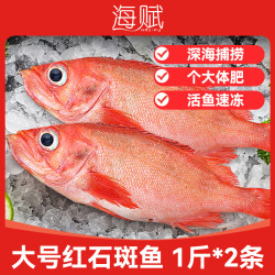 海赋 进口 大红石斑鱼净重500-600/g*2条 鲜活捕捞船上速冻-源头直发