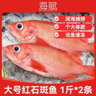 海赋 进口 大红石斑鱼净重500-600/g*2条 鲜活捕捞船上速冻-源头直发