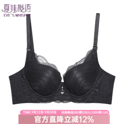夏娃秘语 女士小胸聚拢性感蕾丝时尚文胸