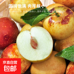 脆枣 带箱5斤（净重4.5斤） 单果12g+