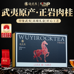 逢武夷 正岩肉桂乌龙茶 特级岩茶250g