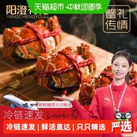 阳澄有礼 大闸蟹 礼盒装