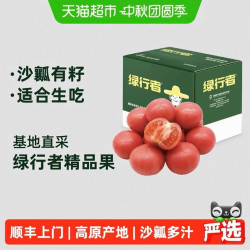 绿行者 小粉番茄蔬菜西红柿3斤生吃自然熟