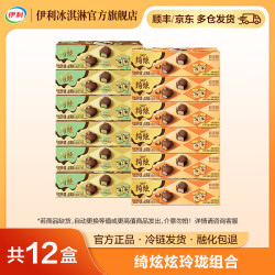 伊利 绮炫炫玲珑冰淇淋黑巧开心果奶香冰栗共12盒684g