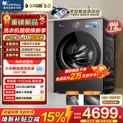 小天鹅 TD10K60