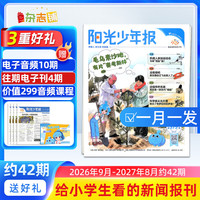 杂志铺 阳光少年报小学版 1年42期 文学文摘