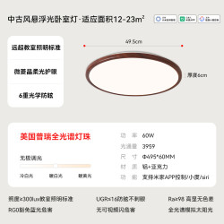 雷士 中古风悬浮光卧室灯60W 【护眼2.0未来光】圆灯