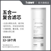 BWT 德国BWT畅享台上净饮机泡奶机定量恒温出水家用净水RO
