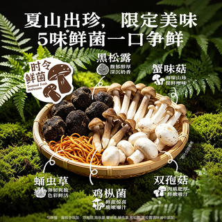 空刻 番茄黑椒山珍鲜菌意面 290g*6+270g*2+291.2g*2