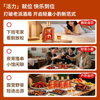 黄鹤楼 活力酒 33度125ml 其他酒类