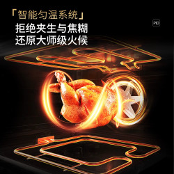 德普 凯信TD55MD2嵌入式蒸烤一体机二合一