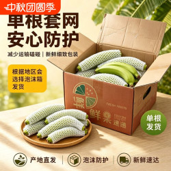 广西高山甜香蕉单根香蕉现摘现发青绿香蕉无泡药自然熟催熟食用