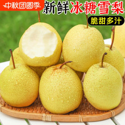福意鲜 山西新鲜雪梨脆甜多汁细腻无渣整箱包邮甜脆无渣孕妇水果当季