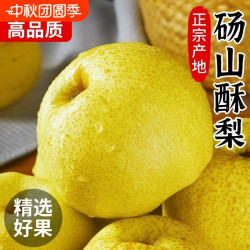 正宗砀山酥梨皮薄脆甜当季新鲜水果梨子贡梨雪梨整箱