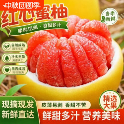 平晏果园 正宗红心蜜柚福建平和琯溪红蜜柚子时令孕妇新鲜水果批发