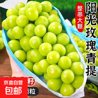 京喜 阳光玫瑰葡萄晴王青提新鲜应季水果一斤也是批发价-1 带箱4斤大果（净重约3.5斤）