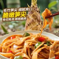 燕之坊 脆嫩笋尖500g笋干货特产糯米嫩笋尖笋丝免泡发干锅下饭菜