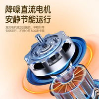 艾利普 2026款新国标电动自行车 火焰红 48V20Ah锂电池