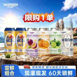 窈仙 精酿啤酒 青岛特产原浆鲜啤 德式工艺 500mL 6罐 组合装 （尝鲜试饮 限购1单）