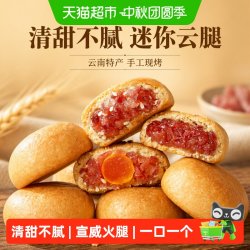 嘉华食品 云腿小饼 滇式酥皮火腿月饼 12枚礼盒
