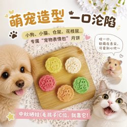 雅礼颂 宠物中秋小月饼礼盒手工制作猫咪狗狗通用 1盒5枚混合装