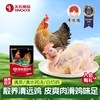 天农 138原种清远鸡800g*1只