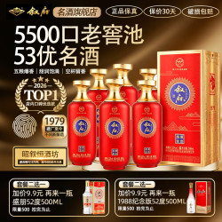 叙府 盛世耀途 五粮浓香型白酒 商务宴请送礼礼盒酒 婚宴喜宴招待酒 52度 500mL 6瓶 整箱装