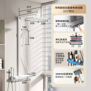 瑞尔特 钢琴按键花洒套装家用卫生间大置物台易洁自动除垢增压S21P