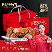 88VIP：阳澄有礼 全母2.6-2.9两6只阳澄有礼大闸蟹礼盒装特大鲜活去绳净重足两中秋送礼