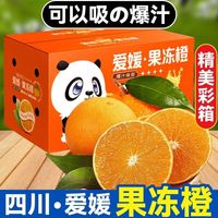 薏品甄鲜 爱媛果冻橙净重4.5-5斤果60-65mm