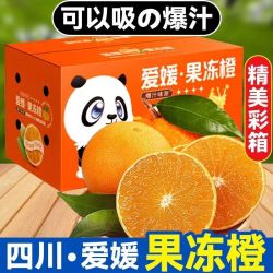 薏品甄鲜 爱媛果冻橙净重4.5-5斤果60-65mm