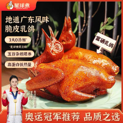 星球煮 广东富硒烤乳鸽招牌粤式酱香半成品脆皮乳鸽190-240g/只装