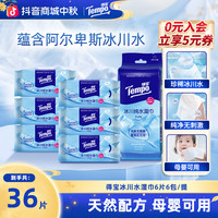 得宝 冰川水卫生湿巾纯净无刺激6片6包便携出行小包冰感湿纸巾SC