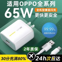适用OPPO65W充电器Reno超级闪充realme手机ACE插头find一加数据线