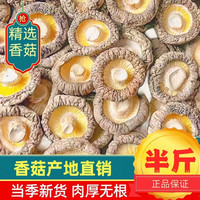 菌状元 抢高泡发古田特产香菇无硫无根新货煲汤食用毛重