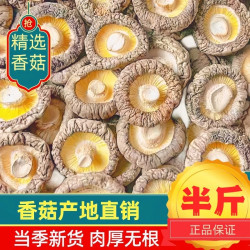 菌状元 抢高泡发古田特产香菇无硫无根新货煲汤食用毛重