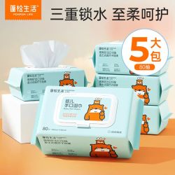 蓬松生活 产妇日常护理湿巾家用大包80抽/包*5包