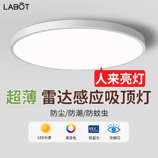 拉伯塔 智能雷达感应吸顶灯人来即亮人走即灭楼梯走廊楼道入户门口声控灯