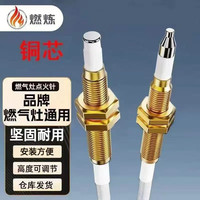 燃炼感应针点火针通用型燃气灶煤气灶厨房小工具