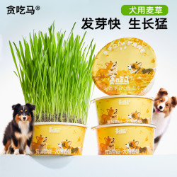 贪吃马 狗草犬用麦草狗狗专用草狗零食狗狗用品懒人无土狗草